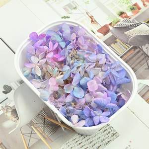 D142 fiori naturali 100% per candela in resina regalo fiore essiccato per artigianato fiori conservati di ortensie Set - Product Image 5
