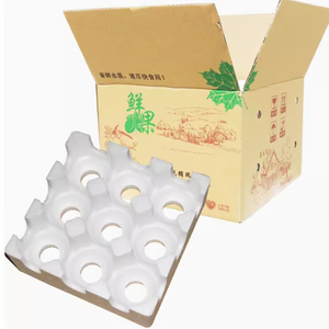 Reciclaje vegetal fruta caja de cartón Correx hoja PP plegable colorido plástico Corflute Coroplast troquelado máquina <span class=keywords><strong>Truster</strong></span> - Product Image 6