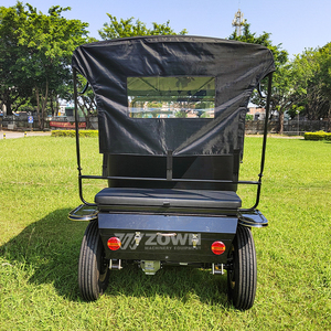 Voiture de tourisme électrique rétro haut de gamme, 6 places, certifiée CE, à batterie, chariot vintage pour complexe hôtelier et parc d'attractions - Product Image 6