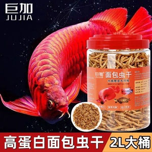 Gusanos de harina secos 300g, alimento para tortugas y peces con alto contenido proteico, snacks para reptiles y mascotas - Product Image 3