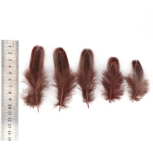 6-10厘米批发高品质染色图案多色雉鸡羽毛中国快递发货珠宝DIY 100件/包48小时送达 - Product Image 3