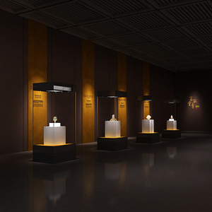 Thiết kế công nghiệp ống kính zoom jx4008 dẫn dưới ánh sáng tủ cho Bảo tàng và tủ trang sức chiếu sáng - Product Image 5