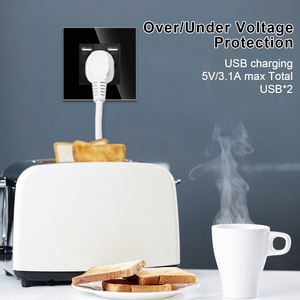 Bingoelec European 16A French <strong>Socket</strong> With Dual USB A+A Port 2.1A EU USB <strong>Socket</strong> - Product Image 2