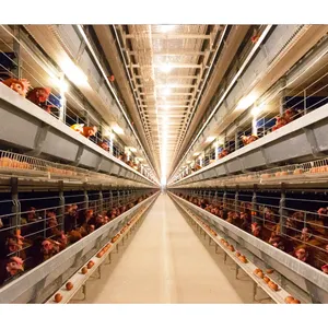 Used Poultry Battery Cages Automatic Layer Chicken Cages for Layers Hens Poultry Cages for Kenya Farms