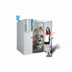 Ruixue su misura di vendita calda cella frigorifera passeggiata nel congelatore attrezzature per la conservazione a freddo per carne e pesce