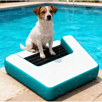 Rampe gonflable antidérapante pour chien pour un accès sûr et facile à l'eau pour la maison et la mer pour les piscines de bateaux, les lacs et les quais