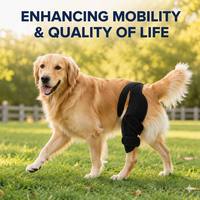 PETSGUARD Attelle Professionnelle pour Genou de Chien, Système de Sangle Dorsale pour L'AVC et L'ACL des Pattes Arrière, en Polyester Respirant Perforé Anti-Rayures