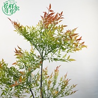 Arbre artificiel décoratif Nandina 150 cm, fait main avec feuillage automnal dégradé, ornement en plastique durable pour l'aménagement intérieur