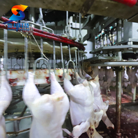 Machine d'abattage de poulet automatisée ZB avec cône de destruction pour poulets de chair