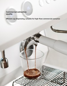 CRM3211 Dual Head Commercial Italian Style Semi-<b>Automatic</b> <b>Coffee</b> <b>Machine</b> 9bar 2025 New Model <b>Coffee</b> <b>Machine</b> - Product Image 2