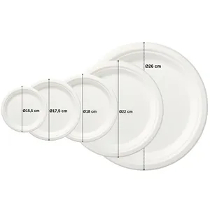 Piatto rotondo in bagassa di canna da zucchero biodegradabile ed ecologico da 32 cm (320 mm x H 15 mm) - Piatto usa e getta - Product Image 4