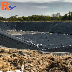 Geomembrana Rinforzata e Saldabile in HDPE LDPE LLDPE da 1,0 mm per Rivestimento di Stagni per Lavori di Conservazione Idrica in Africa - Product Image 4