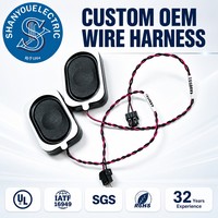 Accessoires pour haut-parleurs haute fidélité, faisceau de câbles OEM, faisceau de câbles en cuivre flexible, haut-parleur à gamme complète pour enceinte