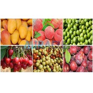 Frantoio per Olive ad Alta Capacità Macchina per Polpa di Olive Denocciolatrice per Separare i Noccioli dei Frutti - Product Image 3