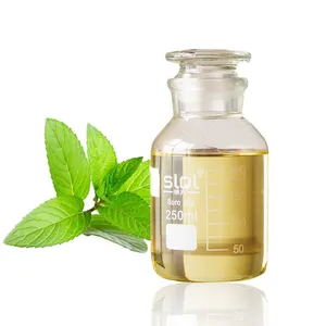 Wholesale Top Grade Steam Distilled Peppermint Essential Oil For Diffuser