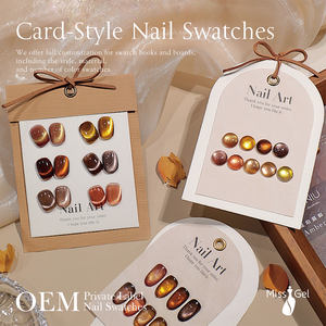 Pantalla de tabla de colores de uñas vacías de etiqueta privada OEM MissGel para selección de color de esmalte de gel - Product Image 4