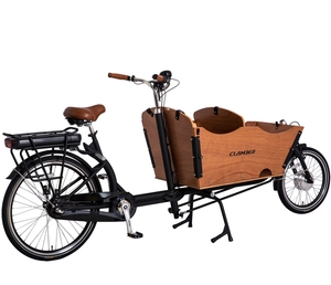 <strong>Nexus</strong> 3 Speeds Cargo 2021 Clamber Cargo Bike Bike Bicycle Electric for Adult Brand 2 Wheel Steel Lithium Battery <strong>LCD</strong> Brushless - Product Image 5