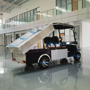 Véhicule électrique durable 2026 pour la visite des sites urbains, chariot de service hôtelier, voiturettes de golf touristiques, véhicule utilitaire de golf, véhicule électrique - Product Image 2