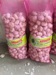 Sinofarm China Alho Fornecedor Orgânico Atacado Fresco Alho 2.7kg 3kg 10kg Malha Saco Ali Ajo Alho para o Mercado do Oriente Médio - Product Image 2