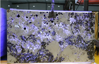 Panneau en pierre, feuille de placage translucide, écran LED, prix raisonnable, PVC flexible et léger