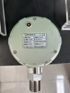 Précision 0,05% Personnalisable Haute précision Instrument de mesure Affichage LCD 304SS Manomètre numérique - Product Image 4