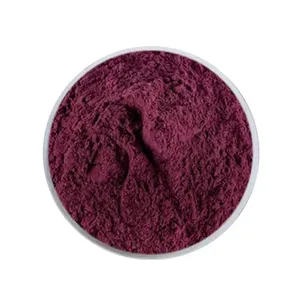 Natürliche Antho cyanidine Bio Acai Berry Frucht pulver Acai Berry Extract Powder