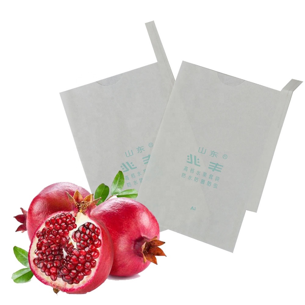 Granada (guayaba) bolsa de papel de protección bolsa fruta bolsa de papel