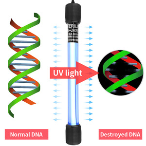 <span class=keywords><strong>Lampe</strong></span> germicide submersible <span class=keywords><strong>UV</strong></span> en verre <span class=keywords><strong>pour</strong></span> stérilisation transfrontalière, désinfection ultraviolette <span class=keywords><strong>pour</strong></span> aquariums et étangs - Product Image 1