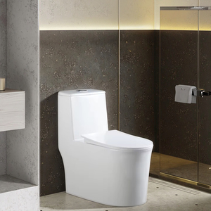 WC monobloc de luxe moderne blanc en céramique, à chasse d'eau par siphon, résistant au gel, à double chasse, écologique, à poser au sol, haut de gamme pour salle de bain - Product Image 2