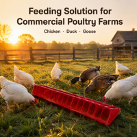 Mangeoire automatique en plastique pour volailles, bac d'alimentation pour poulets de chair et pondeuses, équipement de ligne automatique pour ferme avicole, vente en gros