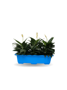 Hot Trend <b>Plastic</b> Home Decor <b>Tray</b> for Apartment Living Room Bathroom and Office Organizer Super Sale - Product Image 2