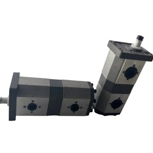 Pompe à huile à double engrenage hydraulique Parker la plus vendue 3339521054 pour pièces de machines de construction - Product Image 2