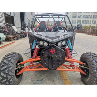 Buggy séries 300cc 1000cc, nouvelle collection, grande réduction