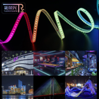 Tira de Luces LED RGB para Automóvil de 12V/24V CC, WS2811 WS2812B DMX, Direccionable, Programable, Flexible, Impermeable, con Control por Voz, de Fábrica China