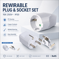 Prise 16A 250V~ IP20 Norme allemande, boîtier en PC ignifuge réutilisable, bandes conductrices en cuivre, CE ROHS pour prise électrique
