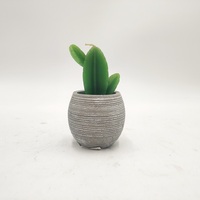 Bougie décorative personnalisée en pot, parfumée, avec logo sur mesure, plantes succulentes, décoration d'intérieur, aromathérapie universelle, bougie pilier en cire de soja en forme de fleur