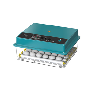 Nouveau design de mini incubateurs et machine à couver de couleur verte 36 œufs de poule <span class=keywords><strong>Couveuse</strong></span> à œufs entièrement <span class=keywords><strong>automatique</strong></span> - Product Image 5