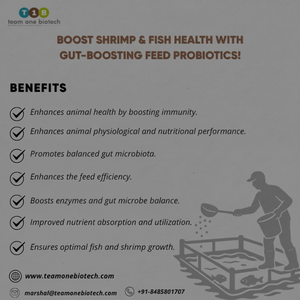 Probiótico para la Digestión de Nutrientes en Alimentos para Peces - Product Image 1