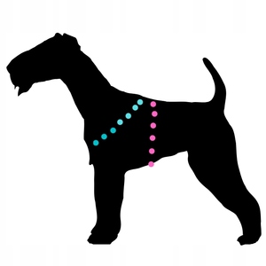 HARNAIS SANS PRESSION POUR CHIEN RESPIRANT BREEZE Réfléchissant M Rose Pastel - Product Image 5