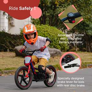 Motos électriques pour enfants hors route électrique Dirt Bike amortissement Apollo <span class=keywords><strong>Sedna</strong></span> 16 - Product Image 2