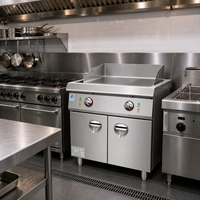Plaque de cuisson électrique commerciale 380V en acier inoxydable avec armoire pour restaurant de steaks et de burgers