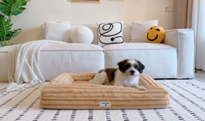 Cama de Lujo para Perros YANGYANG PET, de Terciopelo Cómodo, con Funda Extraíble y Lavable, Diseño de Dibujos Animados, Fibra de Polipropileno, Accesorio para Mascotas para Todas las Estaciones - Product Image 6