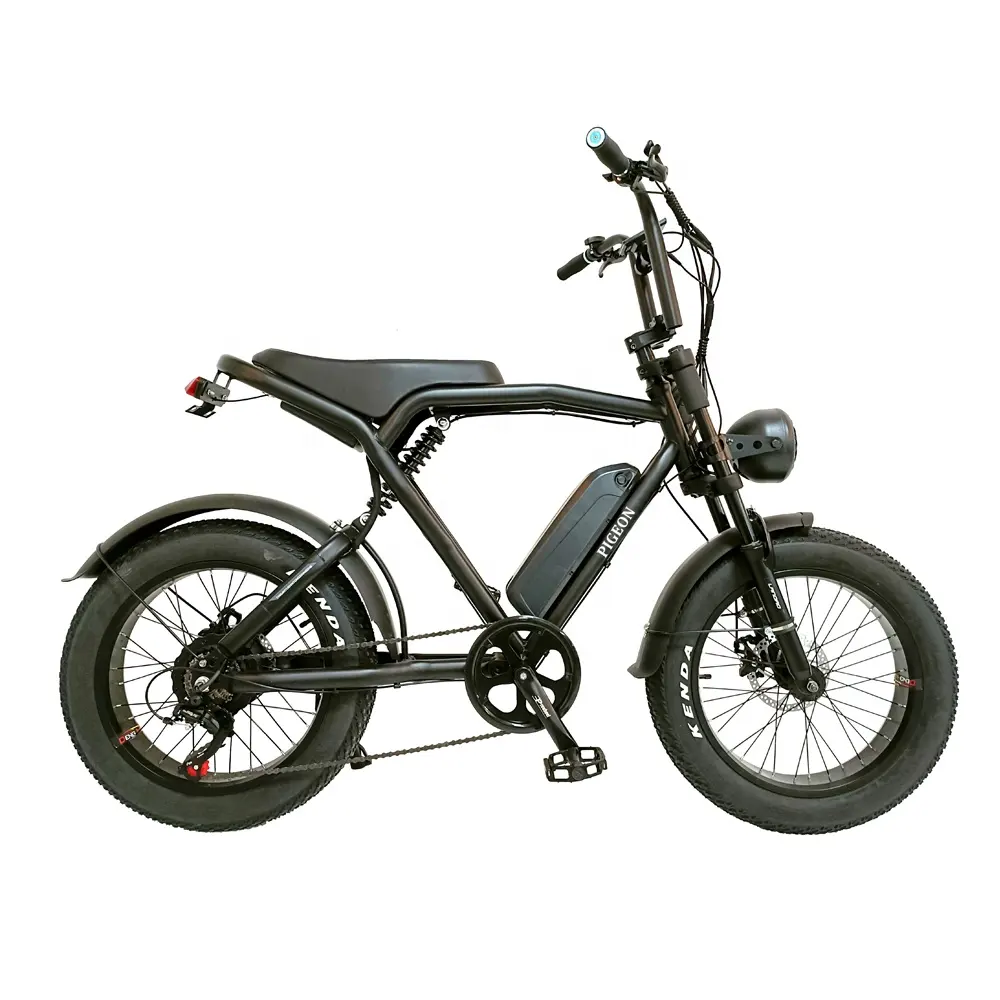 中国で人気のE-Bike 500W750Wモーター電動自転車自転車、20 "4.0ファットタイヤと2人用ロングシート
