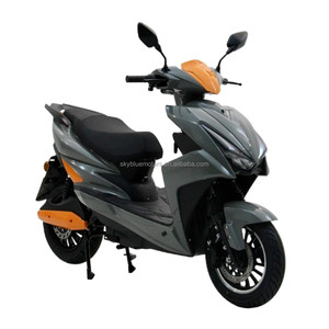 Moto Électrique 3000W Homologuée pour la Route avec Moteur et Certificat CEE, Disponible en Couleur Morel pour le Trajet Quotidien - Product Image 1