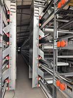 Cage à poules de haute qualité entièrement automatique à 4, 5, 6, 8, 12 niveaux, galvanisée à chaud, pour l'élevage de poulets, poulailler pour 50 000 à 100 000 poulets, facile à utiliser