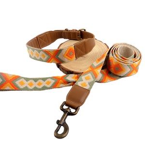 Conjunto de Collar y Correa para Perro de Nailon Personalizado de Moda de Lujo con Hebilla de Bronce - Product Image 1