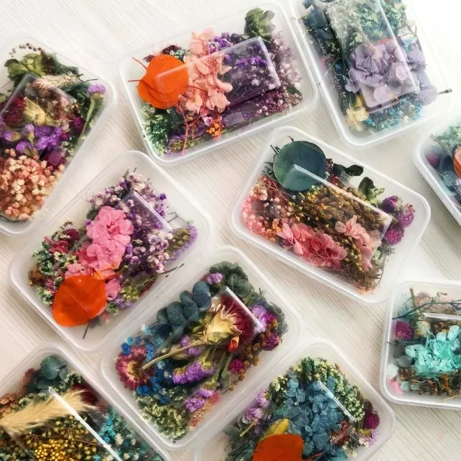 wholesale 1 Box lavender Random Mix Dried Flower Plant for Resin Jewelry Dry Plants Pressed Flowers Making Craft DIY Accessories