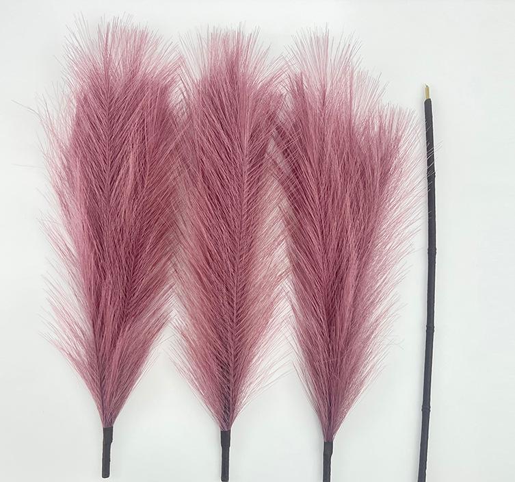 006 rouge marron