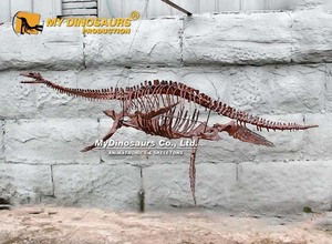 MY DINO DS-152 Exposition de dinosaures, squelette de dinosaure, petit plesiosaure - Product Image 2