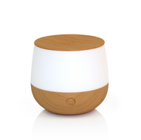 Mini diffuseur de parfum USB 80ML à lumière LED de bureau Mini diffuseur d'humidificateur d'huile essentielle à brume froide Diffuseur d'arôme à flamme domestique
